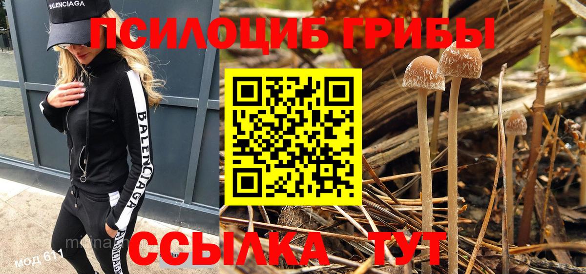 Псилоцибиновые грибы прущие грибы  Вход с VPN  Белореченск 